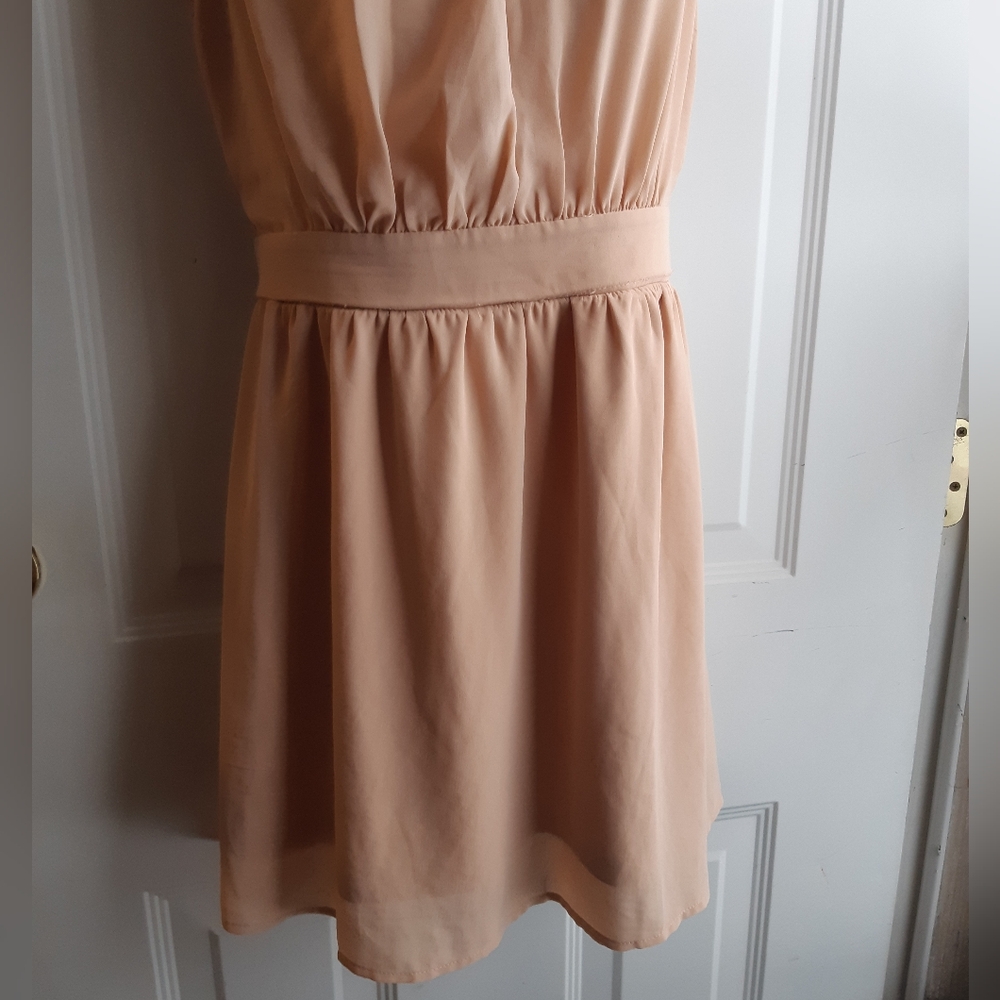 Pink Chiffon Dress - Picture 6 of 11